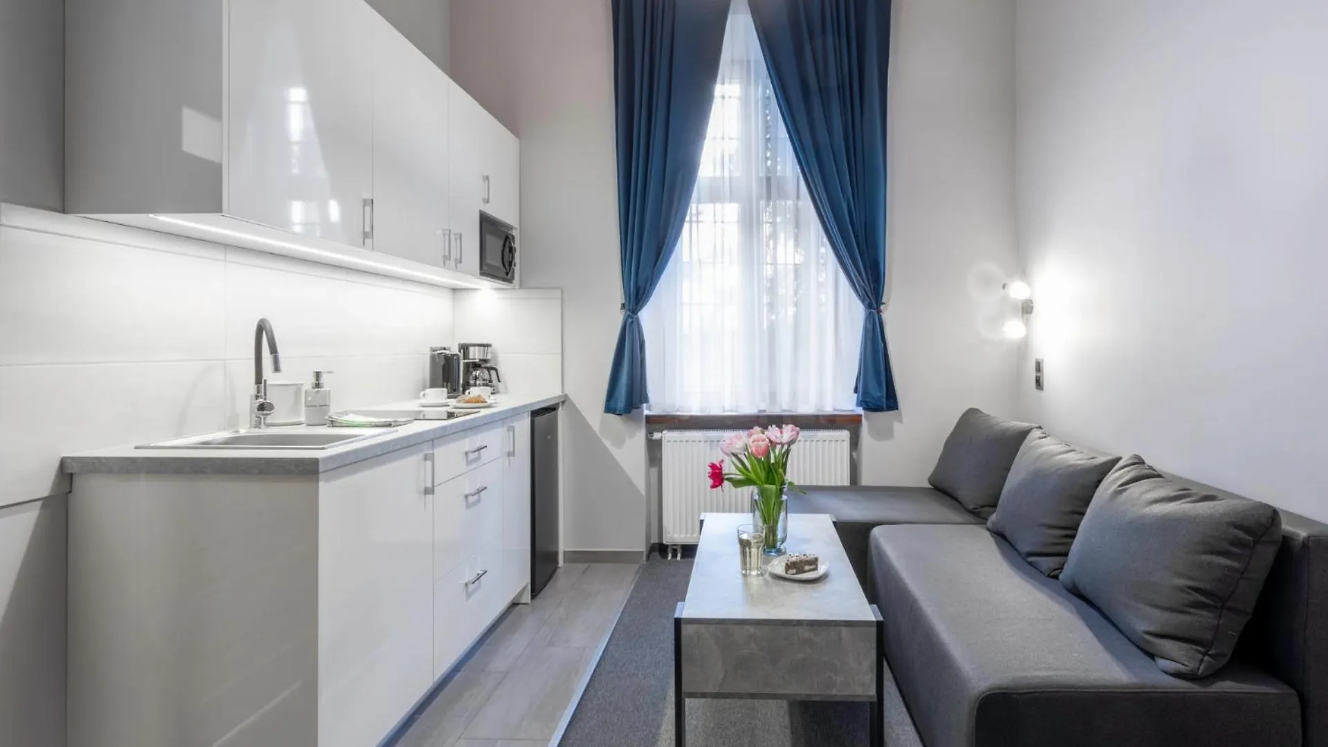 Dave Elegant Apartments Krakow Old Town 0*,
